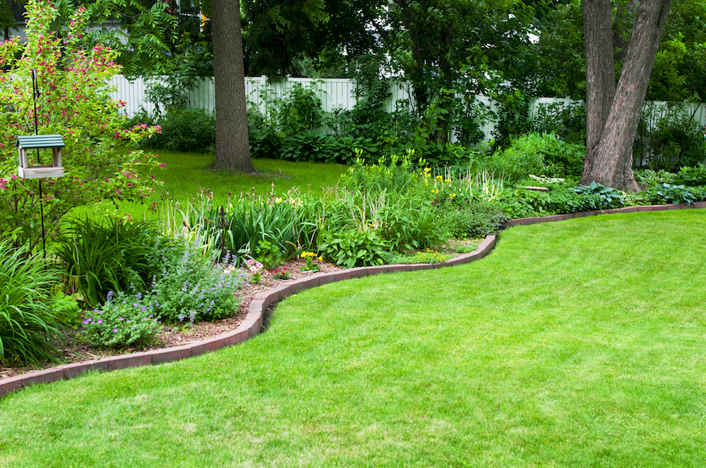 lush green lawn and flower bed with curved brick edging in a backyard