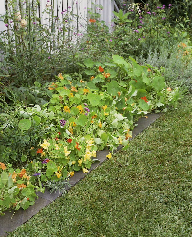 colorful flower bed with slate edging