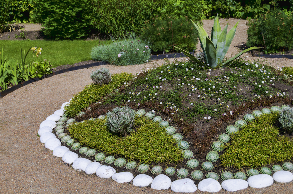 garden arrangement with white stones and succulents