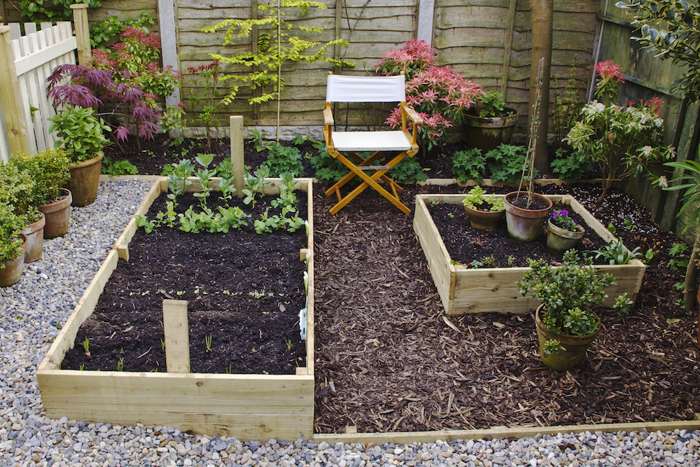Small private garden with raised vegetable beds and white director chair