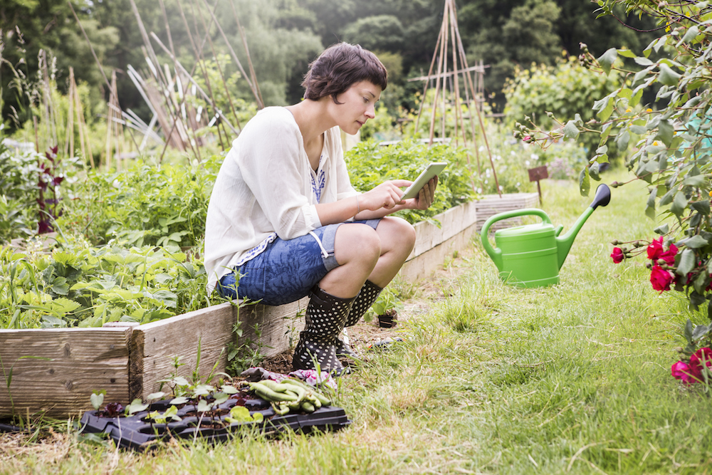 woman sitting on planter box while looking at tablet in front of green watering can