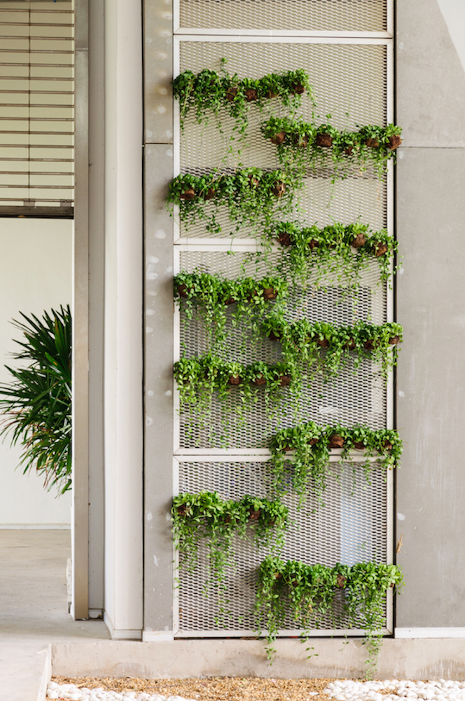 Outdoor plant wall on metal grate