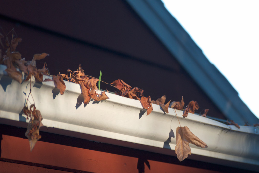 Leaves filling house gutters in the autumn