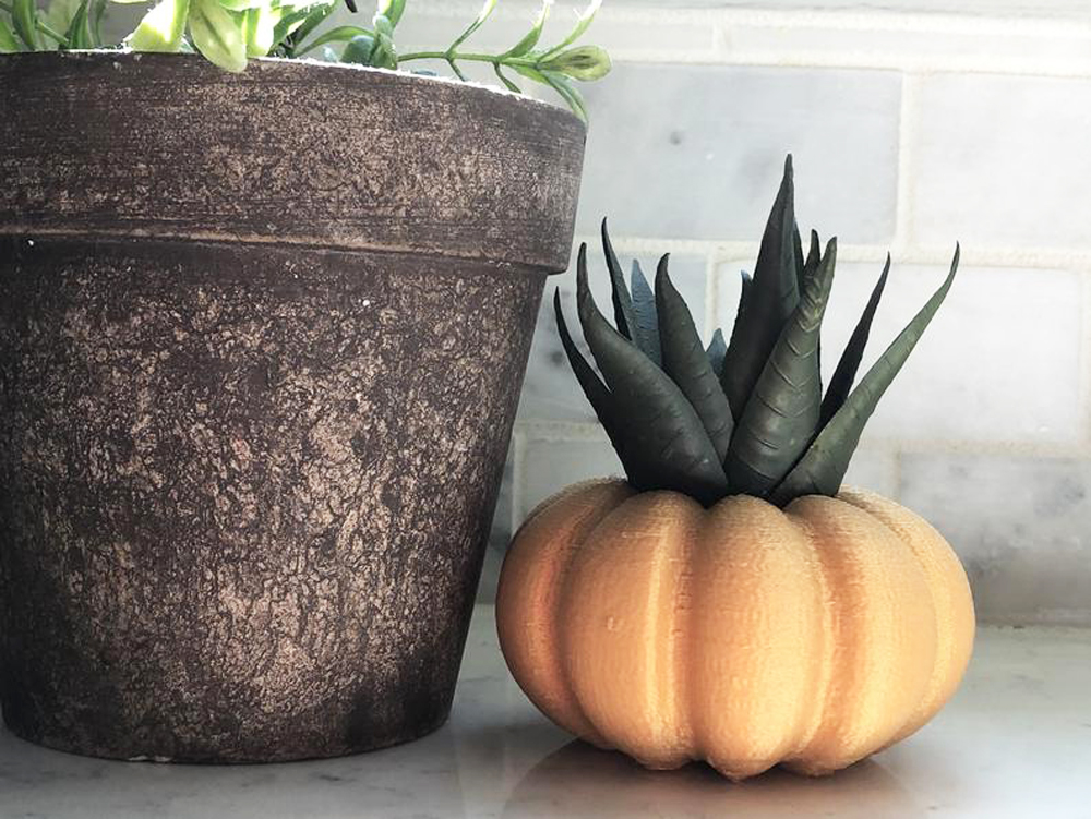 A tiny succulent planter in the shape of an orange pumpkin