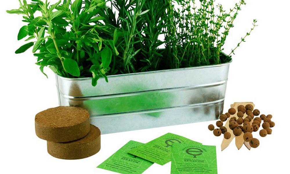 Fresh herbs gardening kit