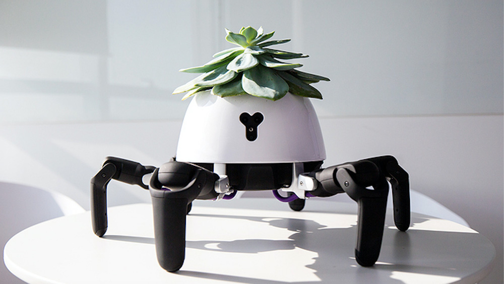 Hexa robot planter