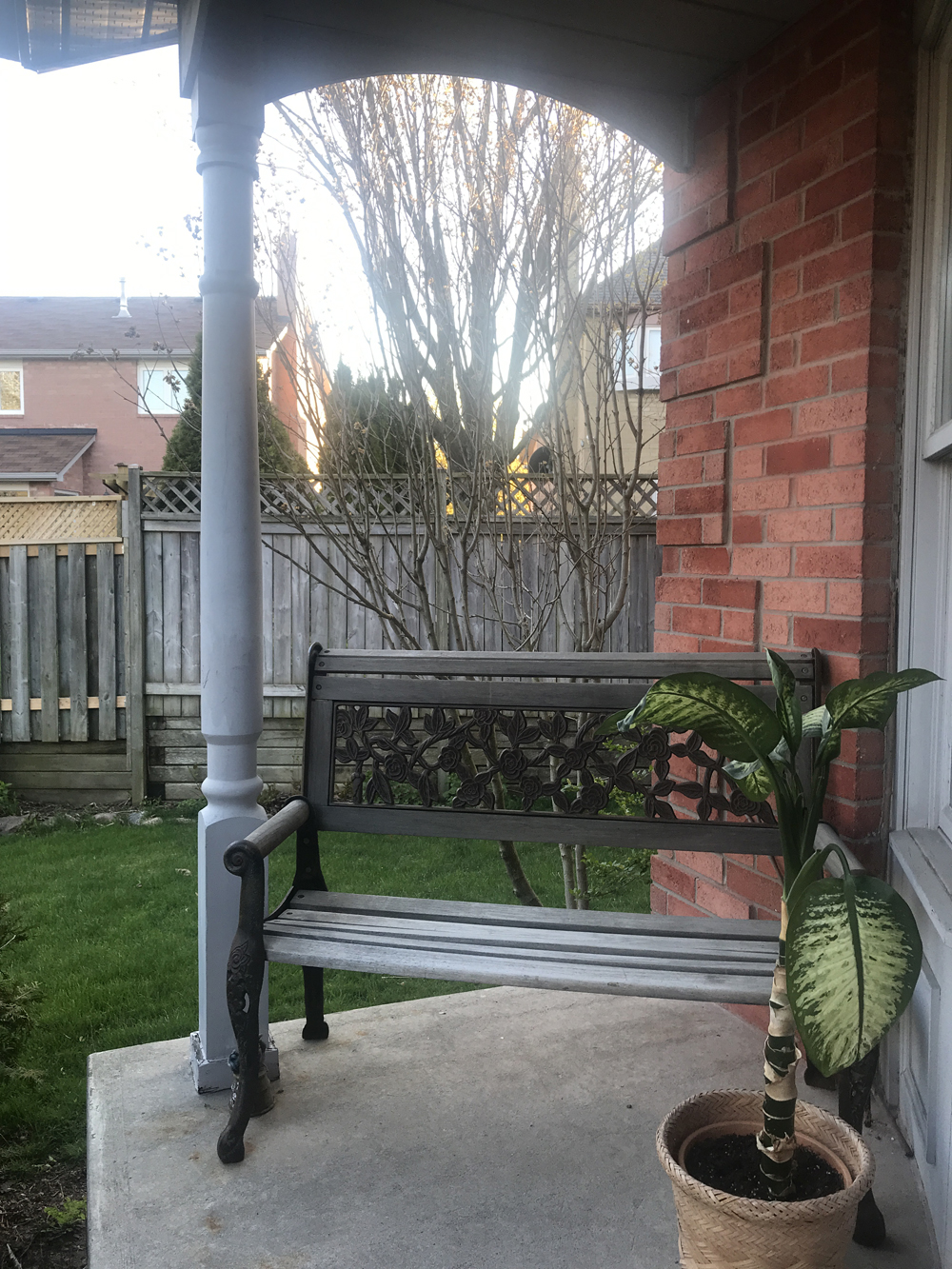 A tiny backyard bench overlooking a garden