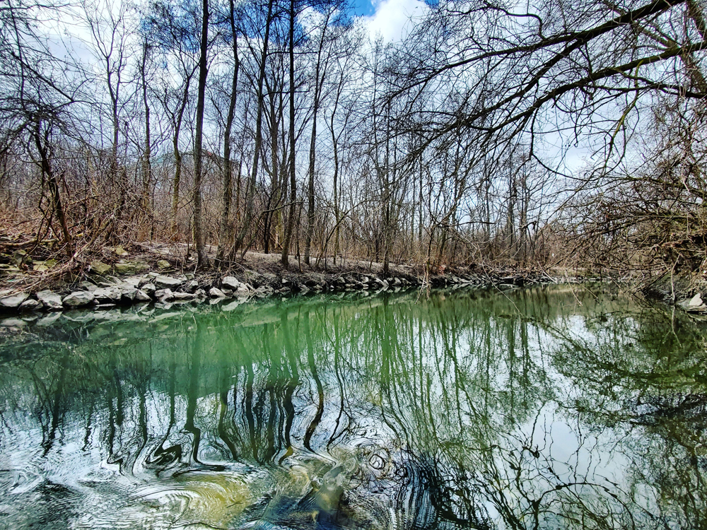 A creek runs through a ravine