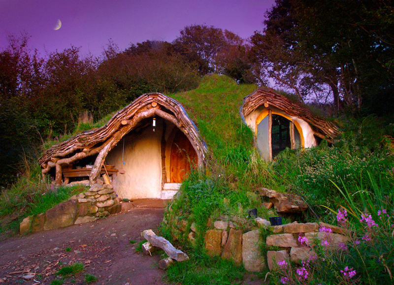 A tiny hobbit-style house in a wooded area
