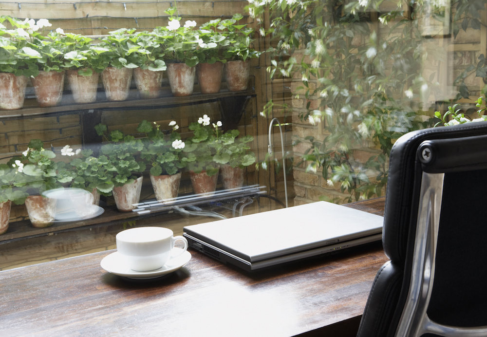 home office with mug on desk and garden outdoors
