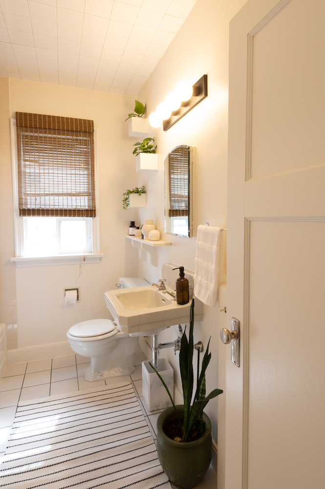 clean white bathroom with shelves and plants on wall