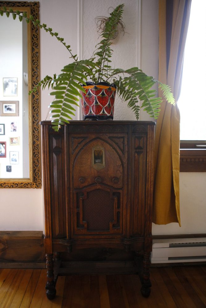 wood radio cabinet with potted fern on top
