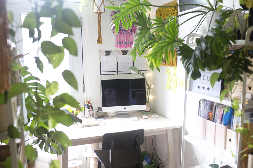 Closeup of desk with Apple desktop computer on top and plants surrounding the desk