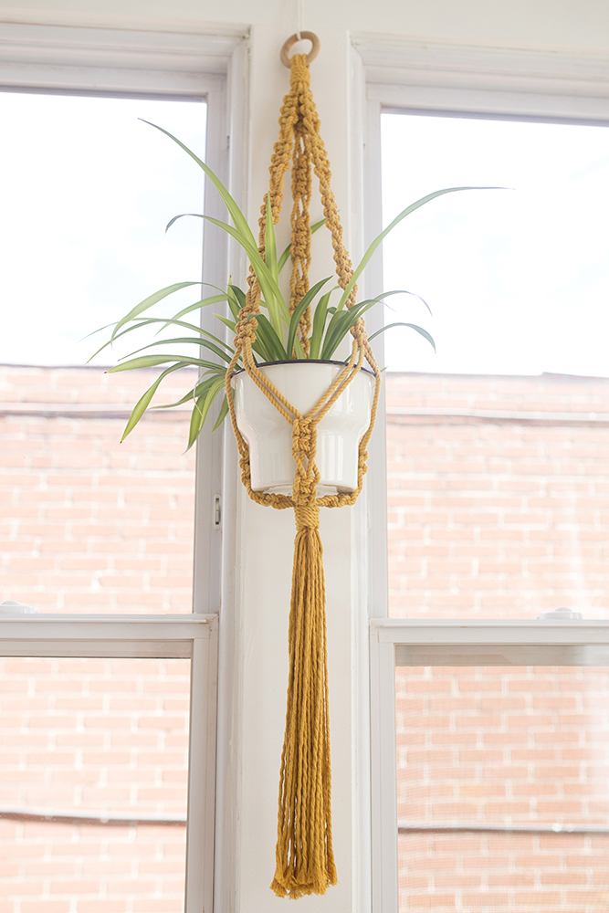 Yellow macrame plant holder hanging from ceiling
