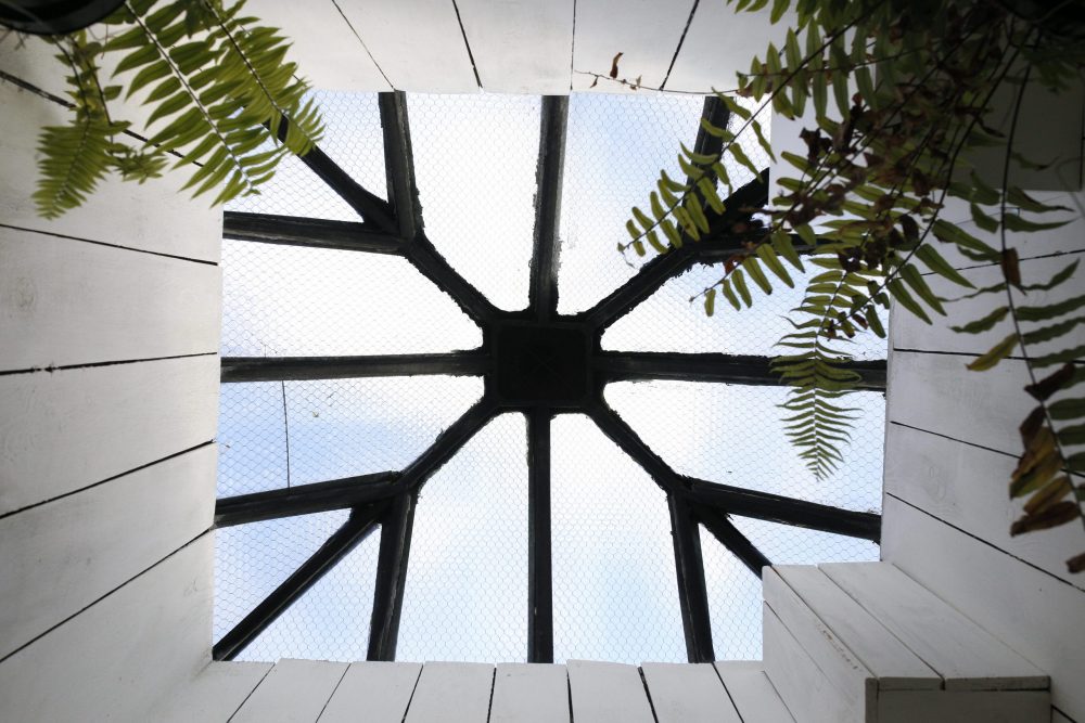 looking up through skylight with black detailing