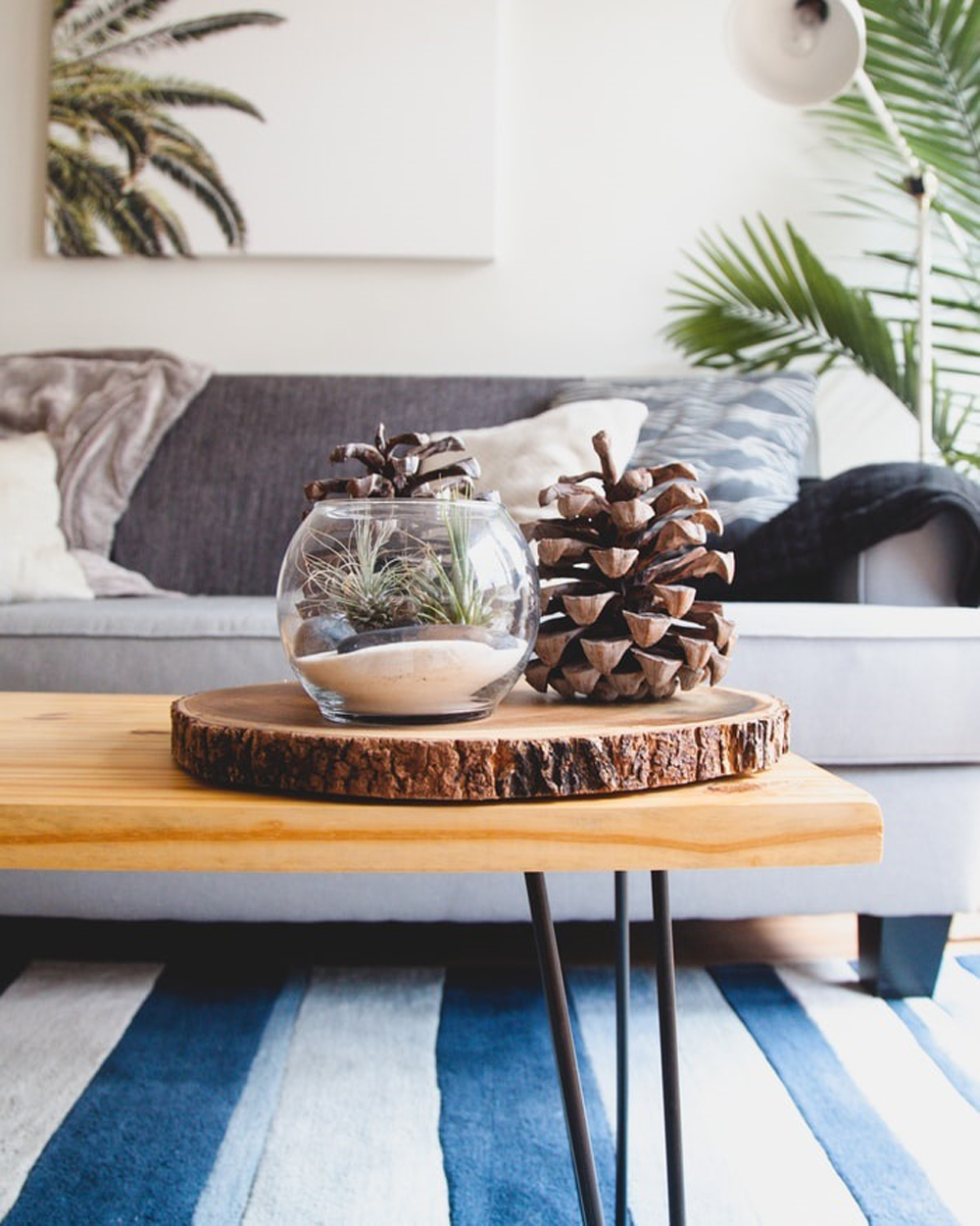 Decorative pine cones on a coffee table in a living room