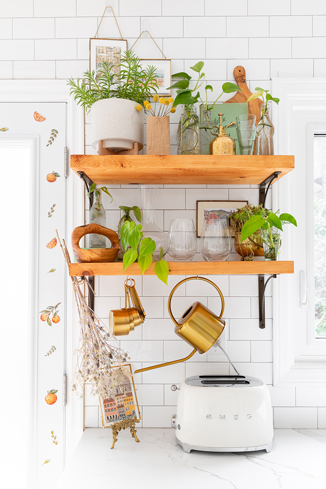 Plants and jars with rooted cuttings on chic wooden shelves in a kitchen.