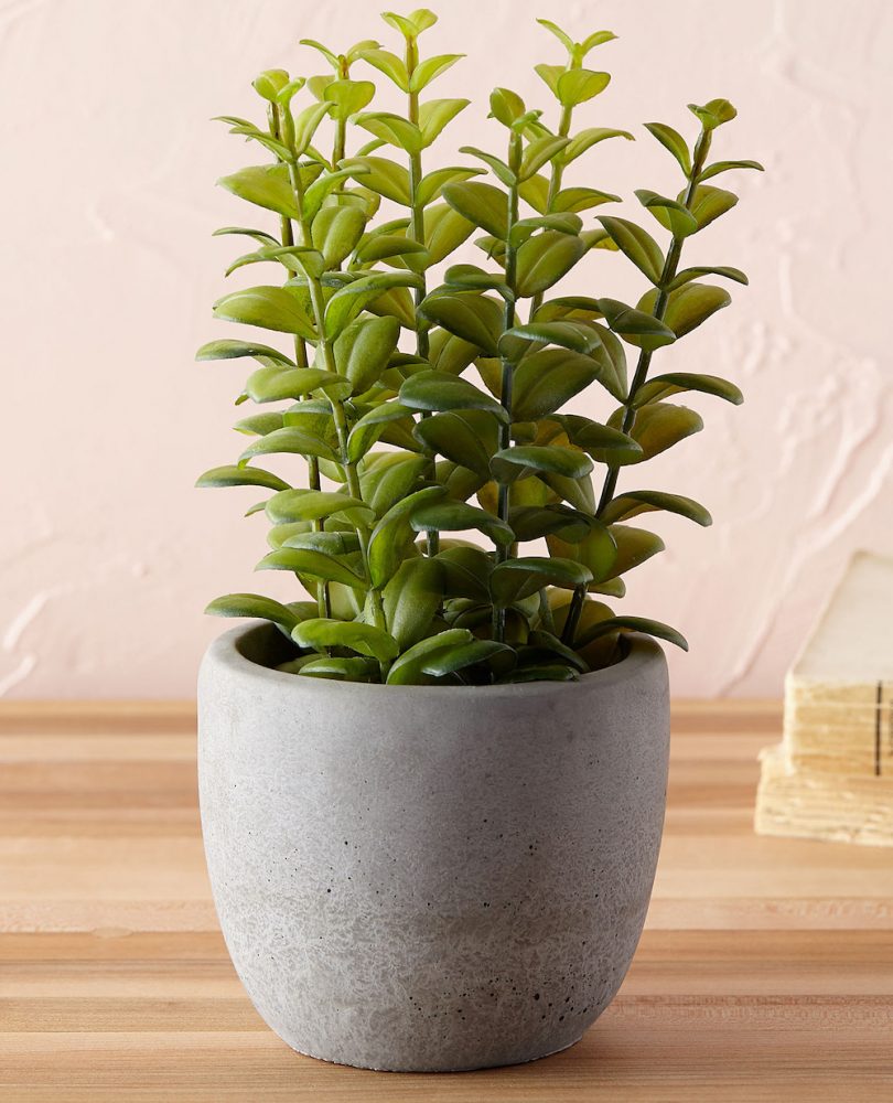 imitation plant in small stone-like pot