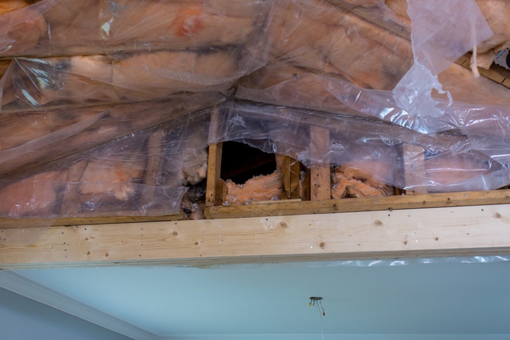 Signs of a pest infestation in a home under renovation