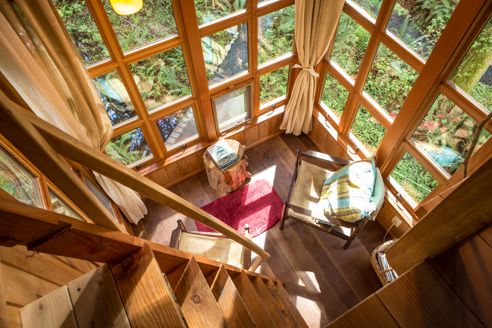 Wooden exterior of a treehouse with narrow ladder leading down into a lounge space with a reading area overlooking the scenery