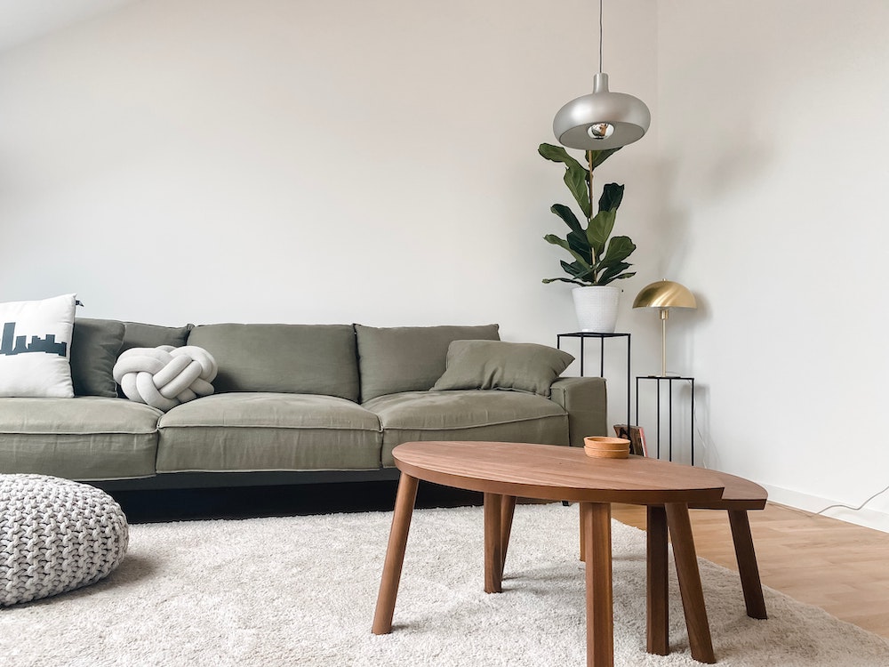 white living room with green couch, wooden coffee tables and green plant
