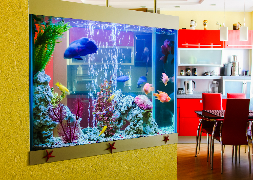 built-in aquarium on yellow wall in red kitchen
