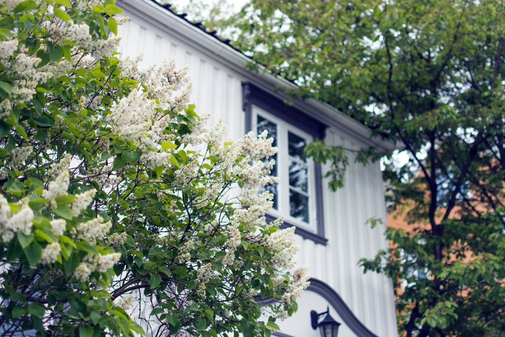Home exterior surrounded by flowers and greenery.
