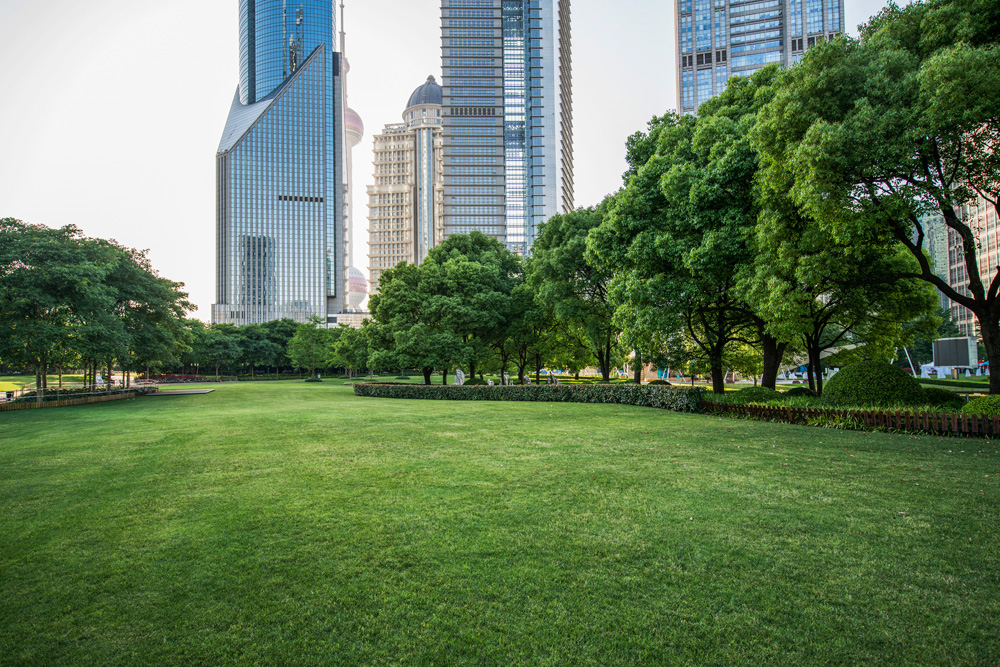 Park surrounded by towers