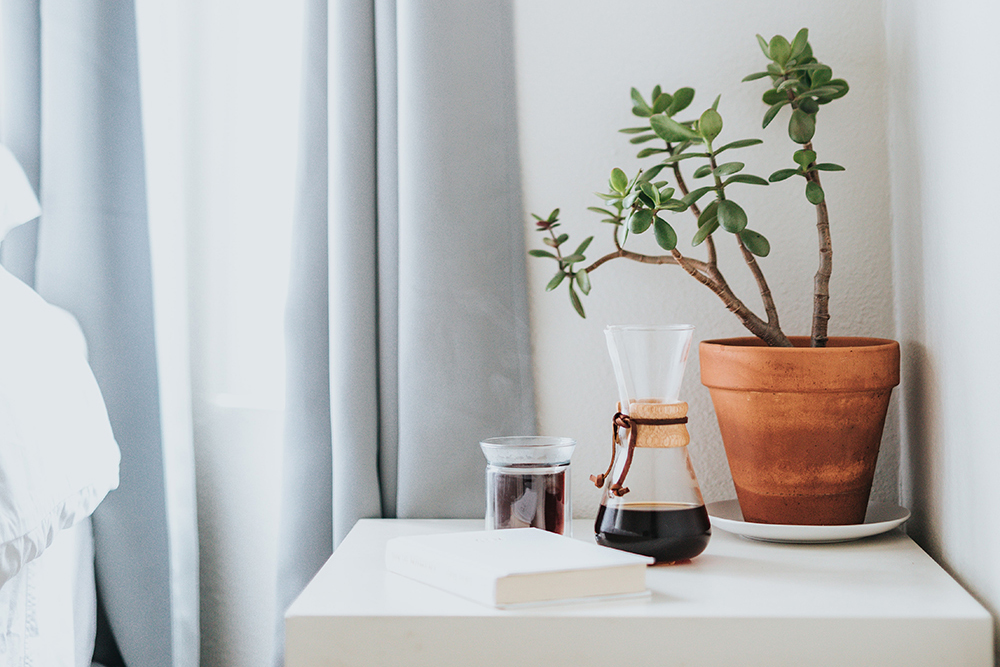 A jade plant in a terracotta pot sits on an end table beside a coffeemaker and cup of coffee.