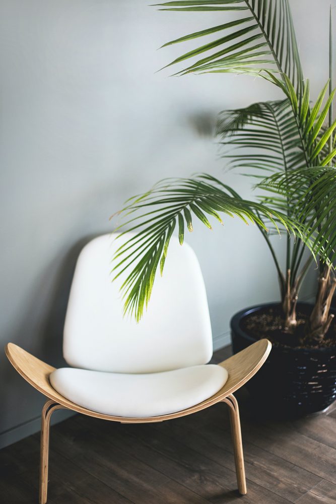 Large palm plant in a black pot beside a modern white chair.