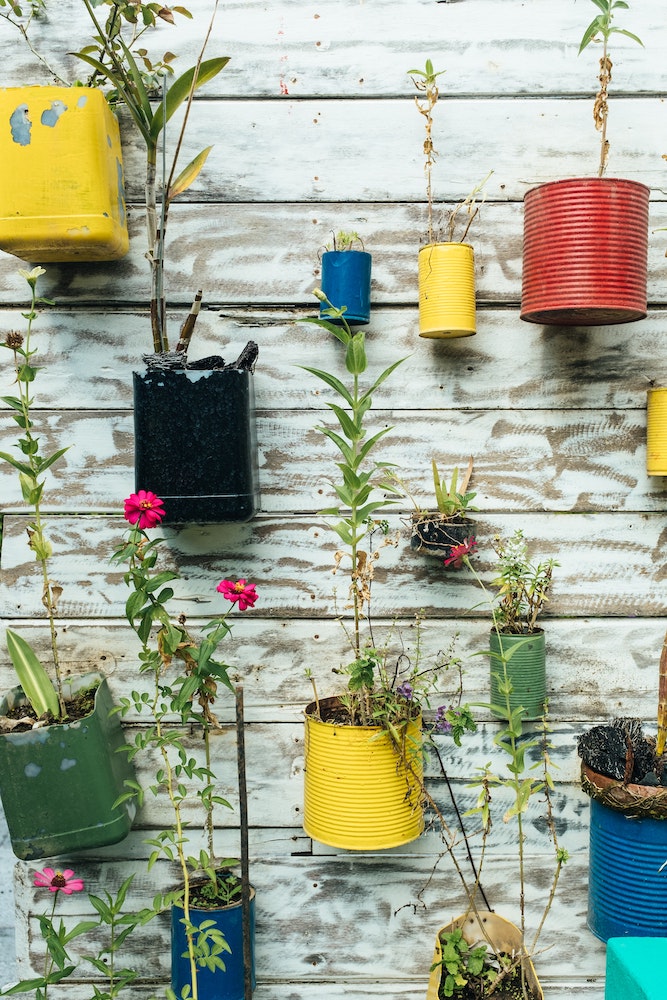 colourful upcycled planters on wood wall