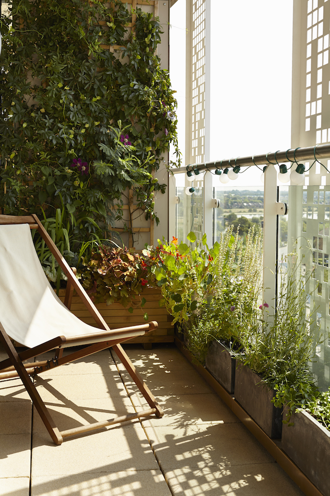 A small balcony garden with deck chair and green plants