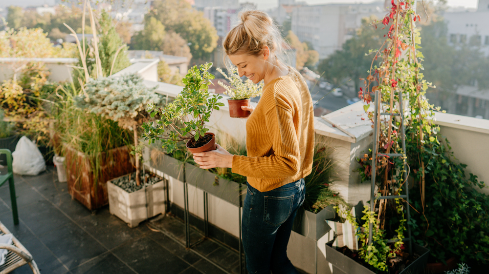 woman with container plants on rooftop garden