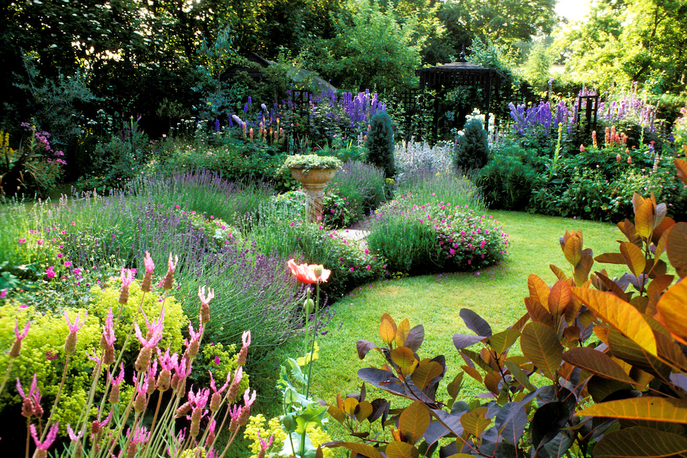 garden with perennial flowers