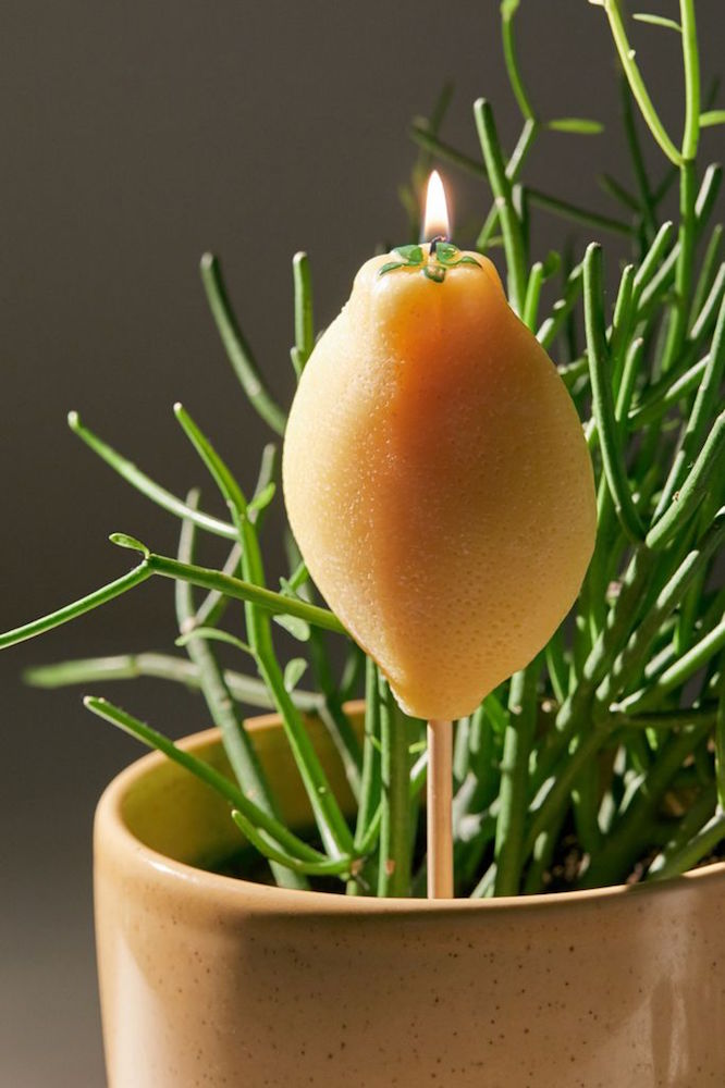 lemon-shaped citronella candle in planter
