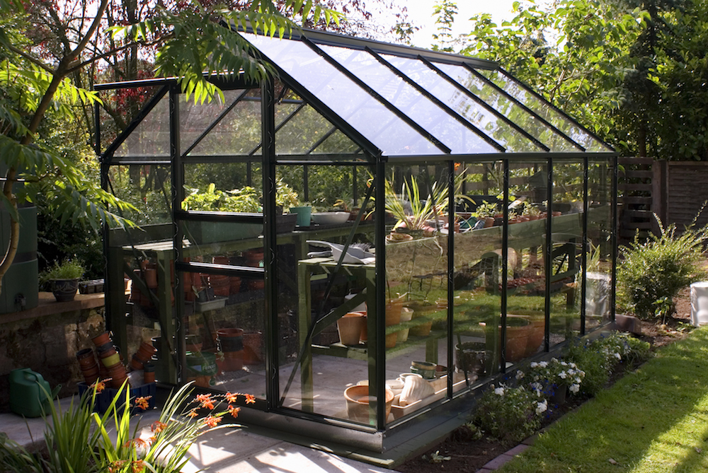 black-trimmed greenhouse in backyard