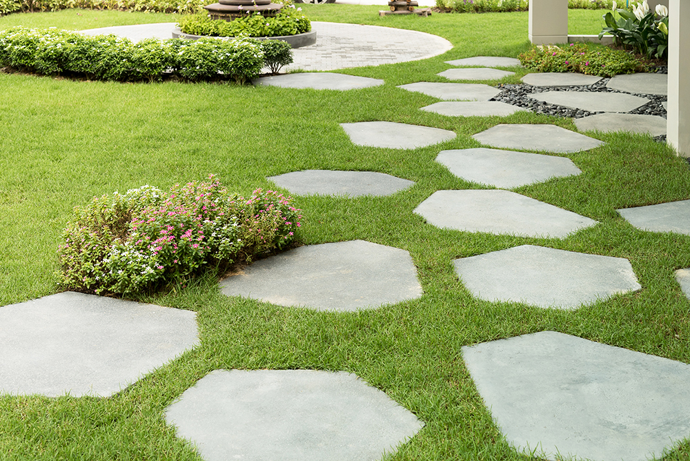 Stepping stones in a landscaped backyard garden