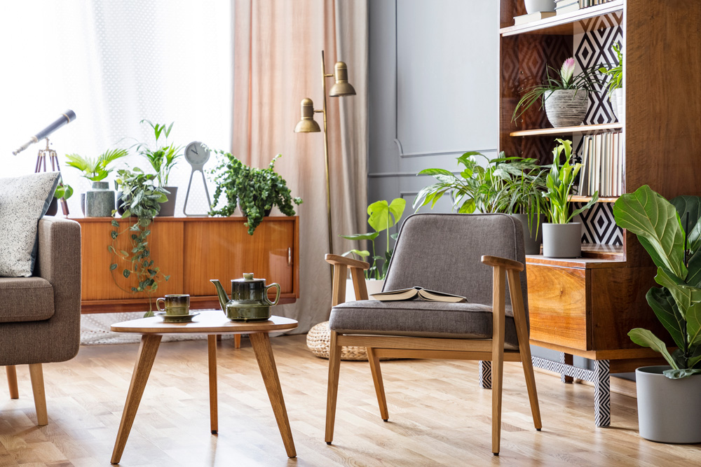 A living room filled with a variety of potted plants