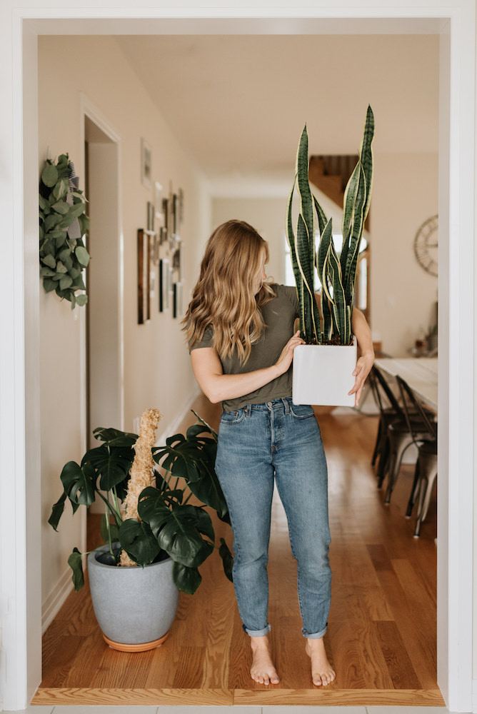 woman carrying large pot of house plant