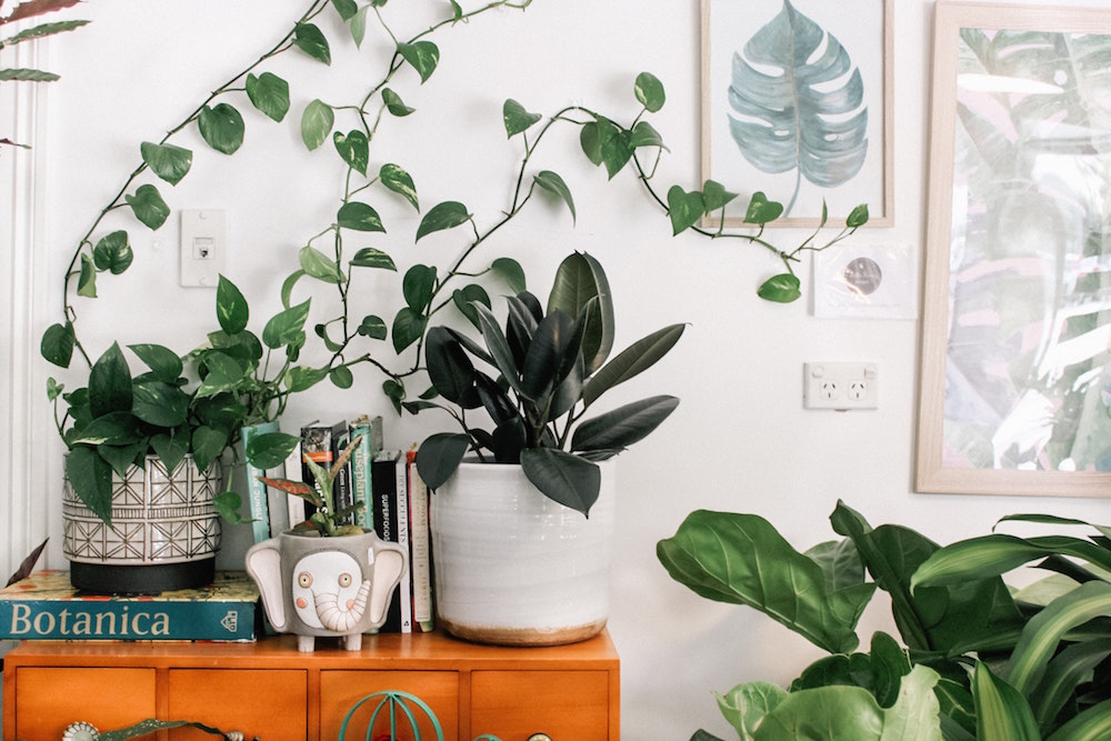 greenery and elephant planter in white living room