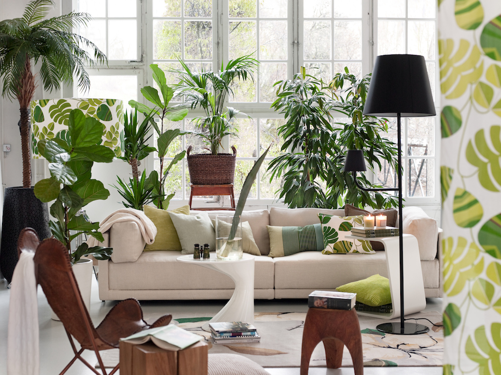 white living room with potted plants and windows behind white couch