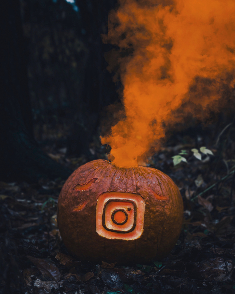 Pumpkin with Instagram logo carved on front