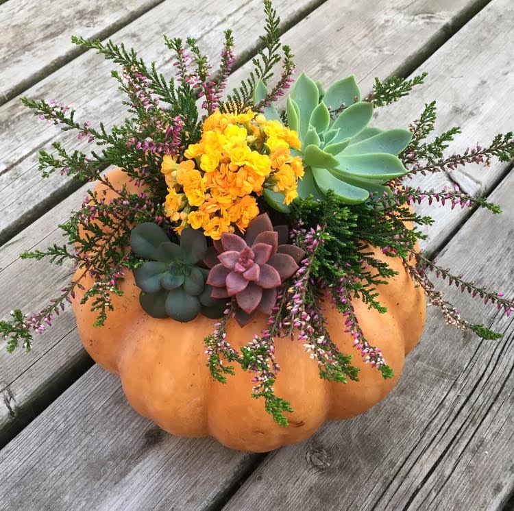 Autumn floral arrangement set inside a pumpkin planter.