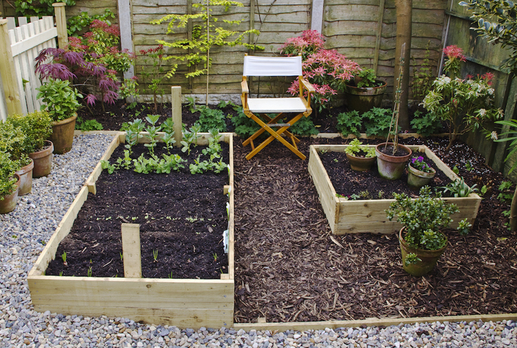  Raised Garden Bed Ideas To Bring Your Backyard To The Next Level Hgtv Canada