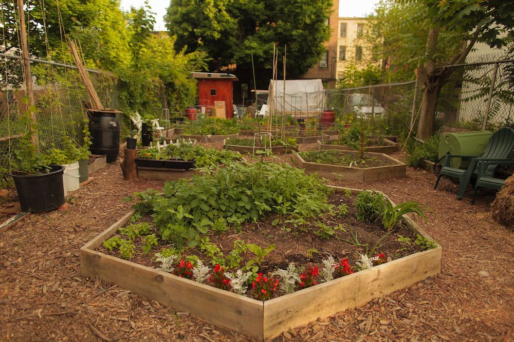 garden with geometric-shaped raised beds