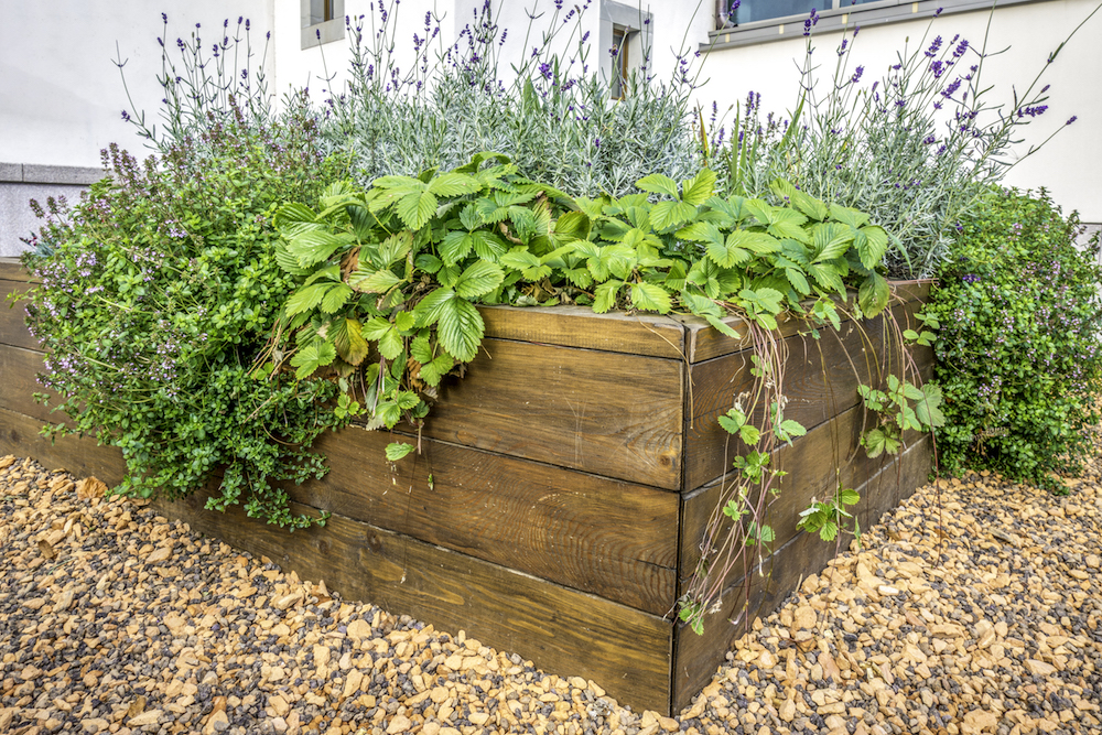raised wooden garden bed surrounded by orange pebbles