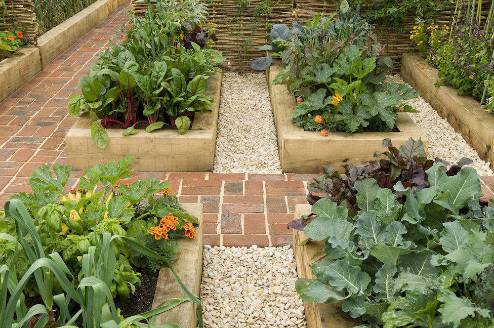 raised garden beds in potager garden