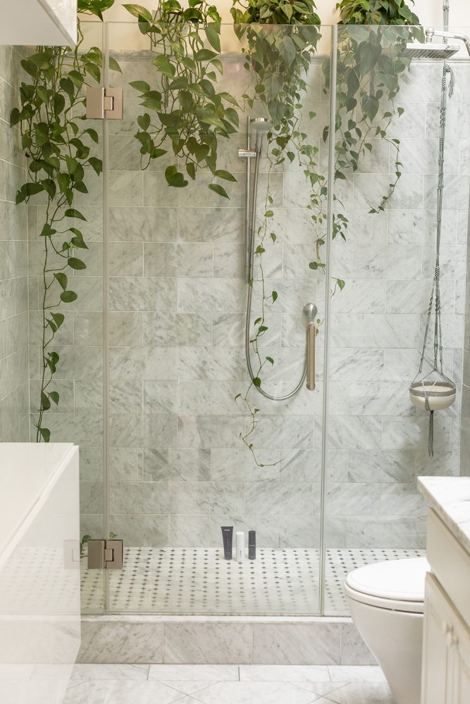 A tiled shower with a clear glass door. On a shelf in the shower sit four pothos plants with vines trailing down.