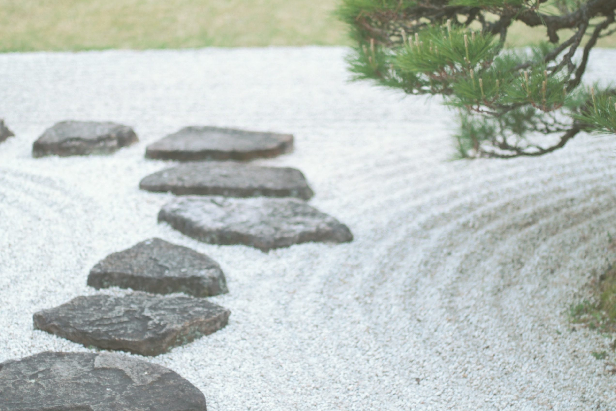 Rock in Japanese garden
