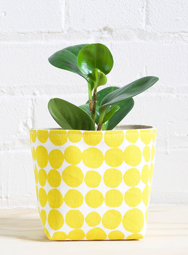 Bright, yellow and white basket for potted plants